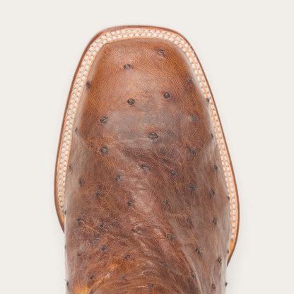 Men Exotics Stetson Jackson Boots Brown